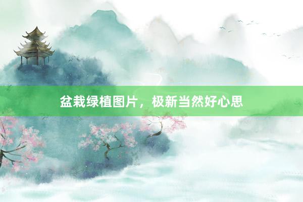 盆栽绿植图片，极新当然好心思