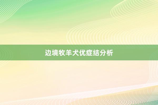 边境牧羊犬优症结分析